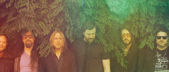 midlake brighton